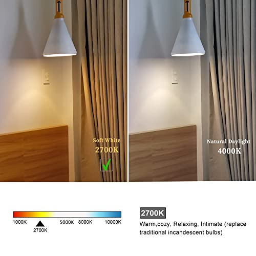 Meilux St19/St58 Edison Led Bulbs Dimmable, Antique Flexible Spiral Led Filament Light Bulb Equivalent 60W Incandescent, 6W Warm White 2700K, 600Lm With 80+ Cri, E26 Base, Clear Glass, 6 Pack #TOP4