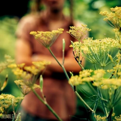  Bumble Bee (Studio Sessions) [Live]