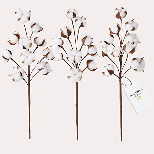 Allora Decor Farmhouse Rustic 21” Cotton Stems Brown