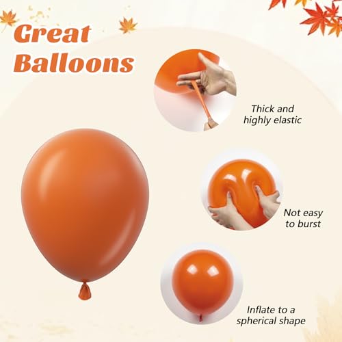 Image of 60pcs Fall Balloons, Thanksgiving Balloons 12inch with Burgundy Brown Sage Green Burnt Orange Mustard Yellow Dusty Pink Balloon for Fall Birthday Party Decorations