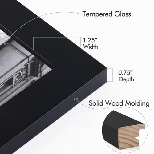 Image of Golden State Art 16x20 Wood Picture Frame with Real Glass and 1.25'' Wide (Black)