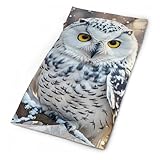 Winter White Owl Neck Gaiter Warmer Face Cover Scarf Fashion Windproof Face Cover Winter Balaclava Sun Cooling Scarf Gator Cover Reusable Bandana Scarf for Men Women