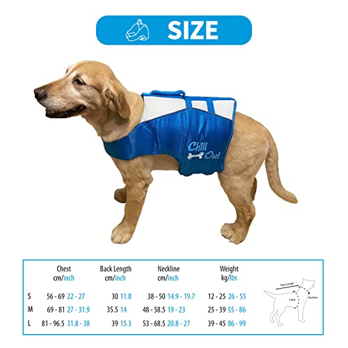 All For Paws Dog Life Jacket,Adjustable Dog Safety Vest With Rescue Handle And Reflective Stripe,Dog Life Preserver For Swimming,Boating,Small #TOP1