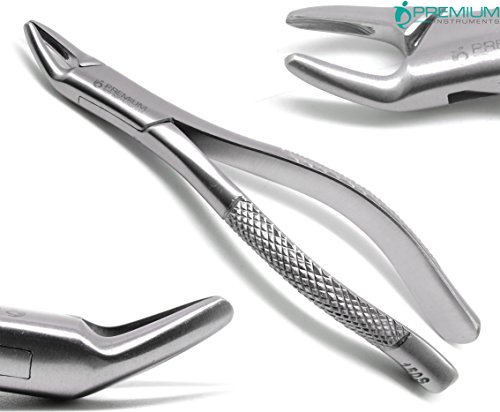 2 Pcs Dental Extracting Forceps 150S & 151S Upper Lower Molars Incisors Surgical Instruments #TOP1