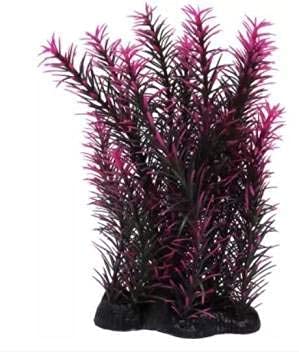 Kapoor pets purpal Plant Grass Type 10 inch Aquarium Plant Anchor ((Plant Anchors1) (B097741SXC) Amazon Price History, Amazon Price Tracker