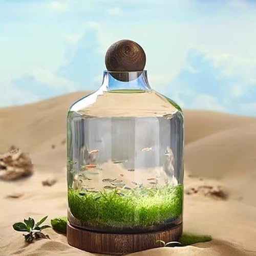 Sariny KX ؐgCt zf Eiϋ㝁Ekrp rO/֑ ԎKKX (X^CD)