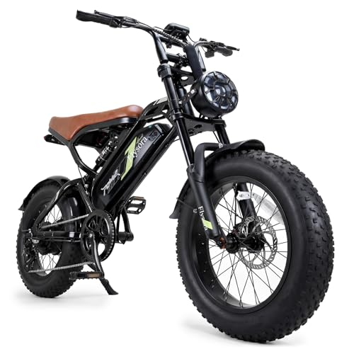 FlySora 1000W Electric Fat Tire Bike for Adults