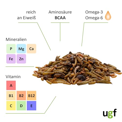 UGF - Insektenmischung mit Gammarus - 80g im 500 Milliliter Eimer, Igelfutter, Rennmausfutter, Hamsterfutter, Rattenfutter, Eidechsenfutter - Mehlwürmer, Soldatenfliegenlarven, Seidenraupen, Gammarus