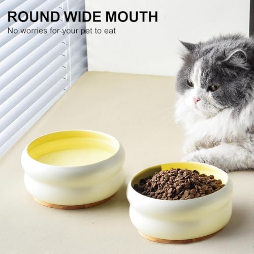 Gamelles en céramique pour chien et chat compatibles micro-ondes - 7