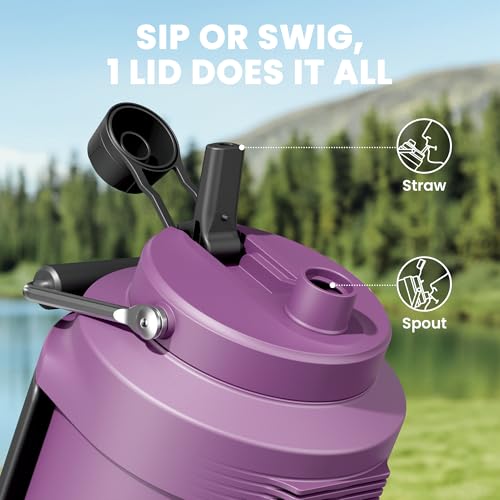Image of 1 Gallon Insulated Water Bottle for Sports: Meoky 128 oz Triple Wall Vacuum Stainless Steel Water Jug - Top and Side Handles, Cold for 48 Hrs, 2-in-1 Straw and Spout Lid, Leak Proof for Hiking (Plum)