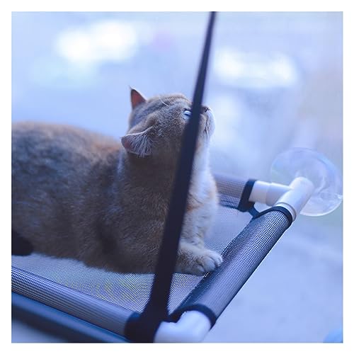 Hängendes Katzenbett, Haustier- Katzenhängematte, Luft- Katzenbett, Haus, Kätzchen, Klettergerüst, Sonniger Fenstersitz, Nest, Lager, Haustierzubehör KatzenhäNgematte(Black)-3