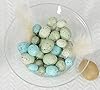 Ten Waterloo Small Artificial Bird Eggs, 36 Pieces, 75 to 1.25 Inches Long, Soft Blue and Green Speckled Eggs, Faux Easter Eggs, Bowl and Vase Filler #1