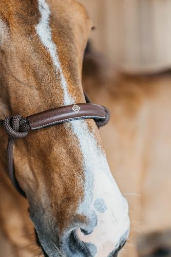 Kentucky - Dyon Trainingshalfter Braun Full WBD