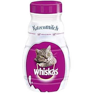 Whiskas Katzenmilch für Katzen ab 6 Wochen – Leckerer Snack für eine glückliche Katze – Laktosefrei und leicht verdaulich – Vorratspack mit 15 Flaschen à 200ml