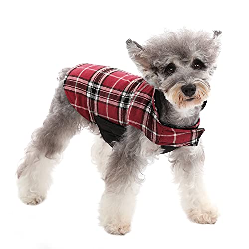 The Best Dog Jackets for Winter to Keep Your Dog Warm and Dry Dog Training Me