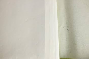 Amazon.co.jp: 書道紙蘭亭牌 四尺半切 書道用紙 1反100枚 2018年