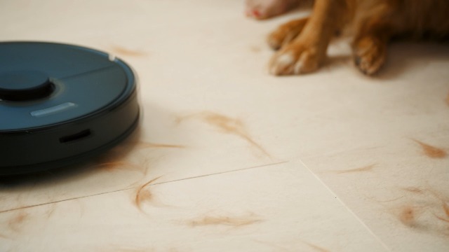 Amazon.com - roborock Q7 Max+ Robot Vacuum and Mop with Auto-Empty