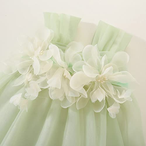 Baby Girl Strap Mesh Dress Sleeveless Backless Layered Tulle Tutu Skirt With 3D Flowers Silk Waistband Outfit (Light Green, 9-12 Months) #TOP2