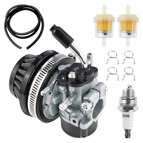 JOYYANGFANG 2-Stroke Carburetor Kit w/Air Filter & Gaskets - Universal