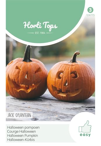 Hortitops 124775 Calabaza de Halloween Jack 'O Lantern (semillas de calabaza de Halloween)
