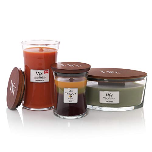 WoodWick Ellipsenförmige Woodwick Duftkerze mit Knisterndem Docht Applewood Bis Zu 50 Stunden Brenndauer