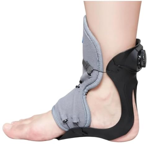 VEKAZ֐ߑA艻A߉\ȑBѓ/O܂B]AЖჁAC_oAҐɓKĂ܂ByʂŒʋCɗDĂ܂ (ubN,WTCY40ȉij)