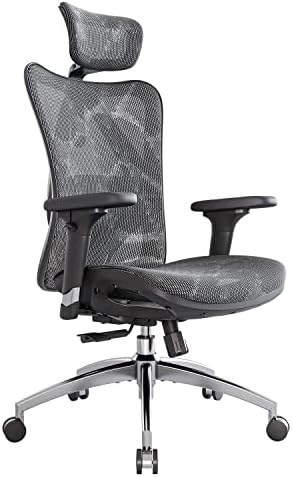 SIHOO M57 Ergonomic Office Chair, Mesh Back Desk Chair with 3D Ar...