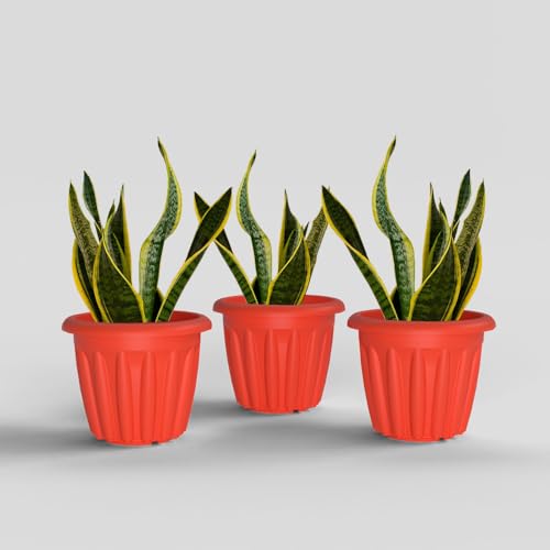 Image of YUCCABE ITALIA SHERA Floot 12 Inch Plastic Flower Pot 3 Piece Set of Round Shape Planter for Home Garden Seedling Planter for pots (Red)