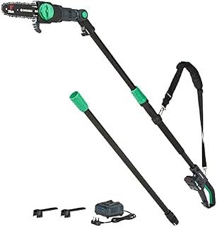 Amazon Brand - Denali by SKIL 18 V (20V MAX) Brushed 20 cm Pole Saw Kit, Includes 2.0Ah Lithium Battery and Charger, Blue