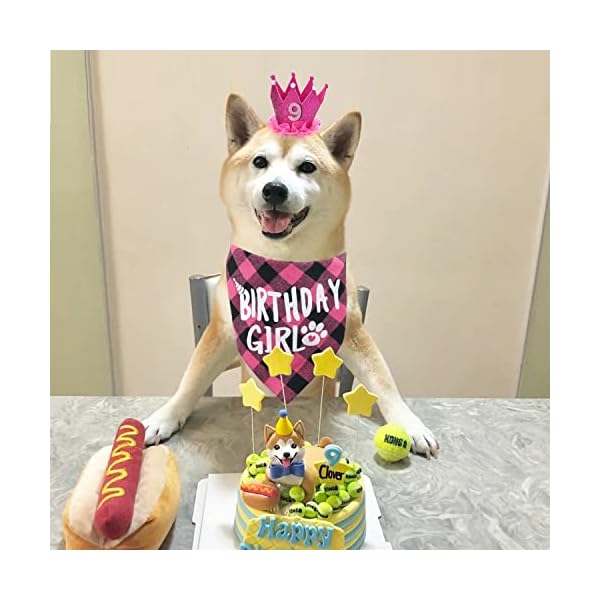 Dog birthday bandana - girl dog birthday hat with number - dog birthday supplies for small and medium dog pet - image 6