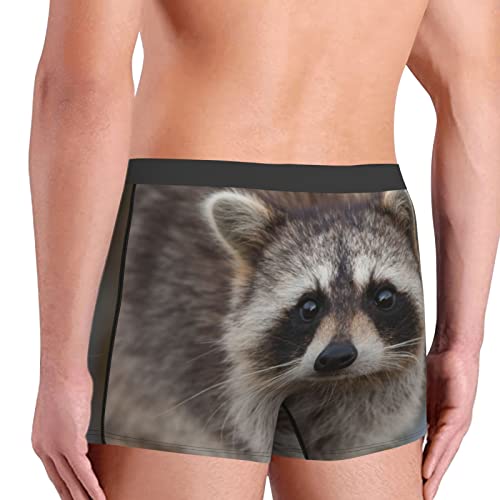 Raccoon Looking Directly Funny Boxer Briefs for Men, Underwear for Men4