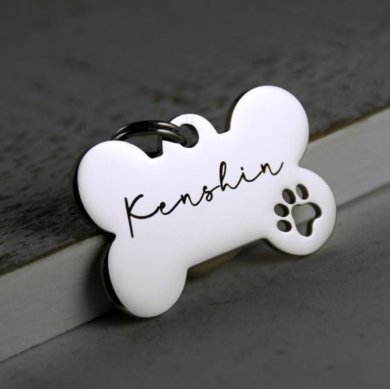 Customized Pet ID Tag Personalize Black Engraved Name Collar Tag for Your Loving Pet Dog, Cat, Puppy, Horse Classic Bone Shape (Silver Color) (B0CNN8LK1B) Amazon Price History, Amazon Price Tracker
