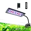 Clip on Aquarium LED Light,Fish Tank Light for 5-20 Gallon,with Timer Auto On/Off 24-Hour Cycle, White Blue Red LEDs Lighting Built-in 5 Brightness Levels Memory Function