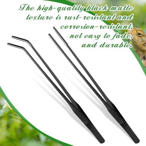 Image of Lasnten 2 Pcs Extra Long Stainless Steel Reptile Feeding Tongs with Rubber Tip 10 Inch, 10.5 Inch Bearded Dragon Aquarium Straight and Curved Long Tweezer Terrarium Feeder Tool for Tank(Black)