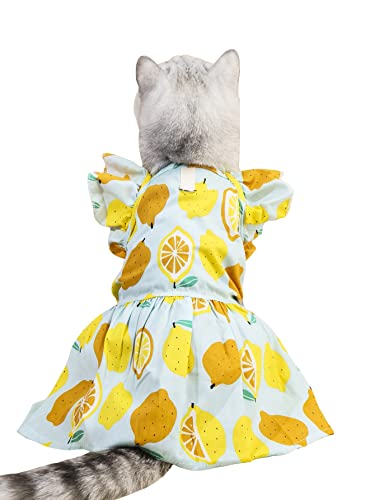 Qwinee Fruit Pattern Pet Dress Cat Dog Dress With Leash Ring Cool Breathable Pet Cute Clothes For Girl Cats Dogs Yellow X-Small #TOP27