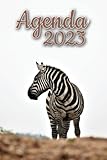  Agenda 2023: Agenda Wochen Zebra für ein Jahr von Januar 2023 bis Dezember 2023, 52 Wochen  Kalender  Verzeichnis  Ferienkalender  Stundenplan  To do Liste.