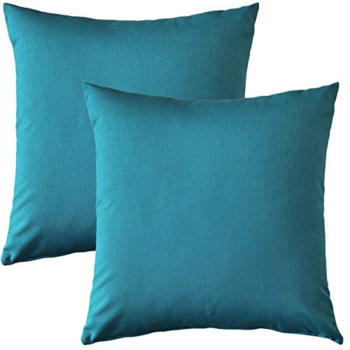 PILLOW DÉCOR Sunbrella Outdoor Pillow, Peacock, 20
