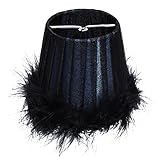 Couvercle de plafonnier - une finition soignée garantit les détails délicats et un couvercle de lumière exquis