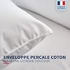 Lot De 2 Oreillers Confort Ferme Alaska Bleu Câlin - Gonflant Exceptionnel, 50x70 Cm, Enveloppe 100% Coton Percale, Fabrication Française