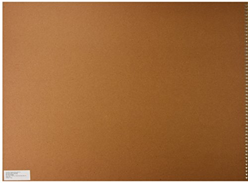 Strathmore 300 Series Drawing Paper Pad, Top Wire Bound, 18X24 Inches, 25 Sheets (70Lb/114G) - Artist Paper For Adults And Students - Charcoal, Colored Pencil, Ink, Pastel, Marker #TOP1