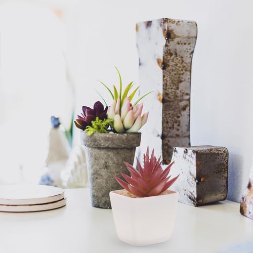 Plantas suculentas artificiales pequeñas para estancias sin luz natural pack de 10 unidades 7