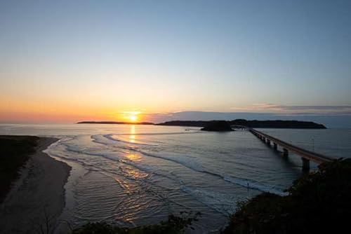 y{i|XgJ[hzR֎sp勴 photo by daikegorotHgJ[hyY