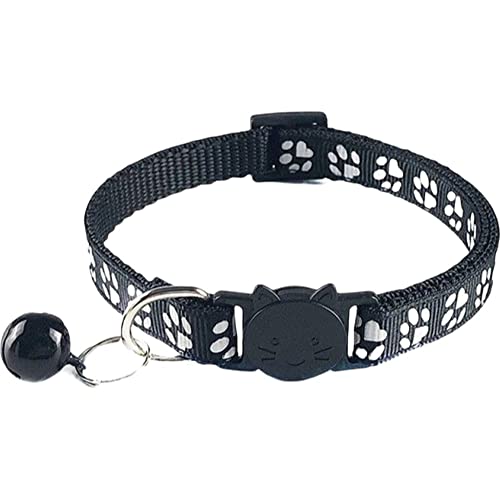 Plus Nao(vXiI)  J[ `[J[ Z[teBobN SobN ybgObY ybgpi Lp `[t   v - ubN