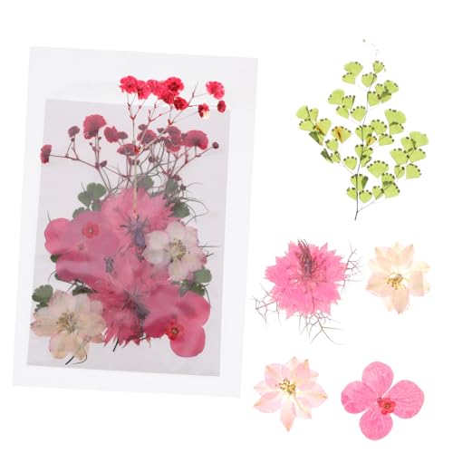 Paquete de 30 flores artesanales prensadas secas para decoración