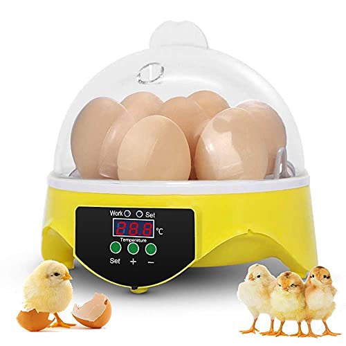 Sailnovo Egg Incubator, 7 Eggs Hatcher Poultry Hatching Machine with Temperature Control Chicken Brooder Incubators for Hatching Chicken Duck Goose Quail Parrot Birds Eggs