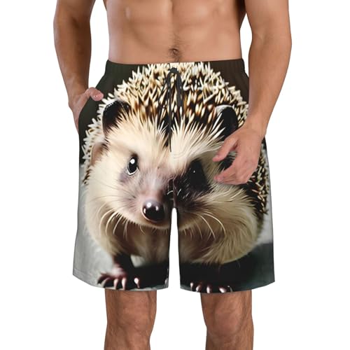 Men's Beach Shorts - Cute Hedgehog Full Print, Elasticized Waistband for Casual Wear, and Summer Activities