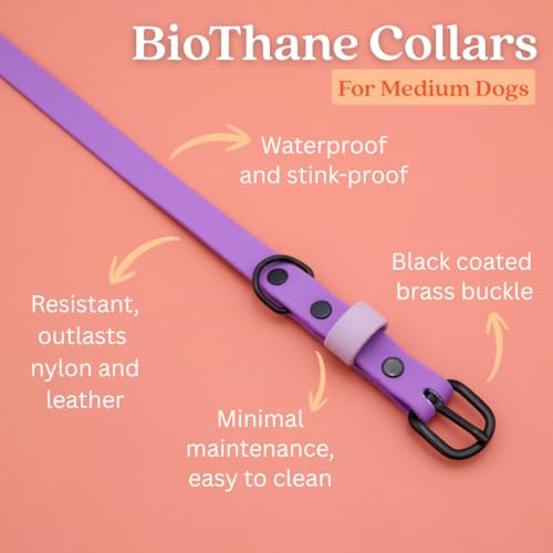 Collier pour chien imperméable lavande M souple résistant odeur pour extérieur - 3