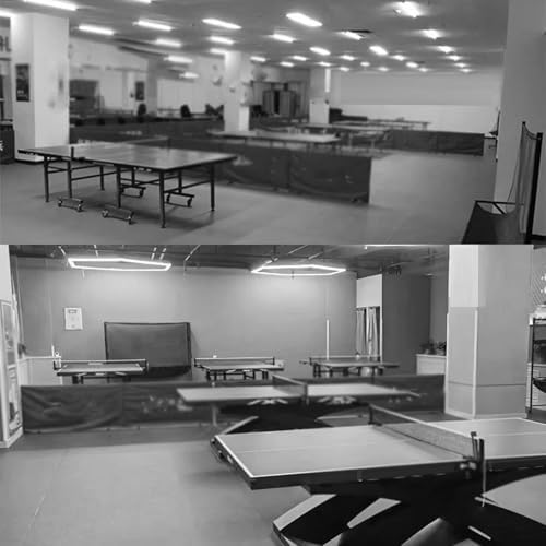 55.1x28.3in Portable Pickleball Court Divider, Easy-Clean Ping Pong Field Fence, Ideal for Home & Community Play, Durable & Lightweight Sports Barrier