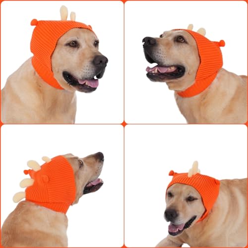 Chapeau de dinosaure pour chiens réglable pour stopper le vent