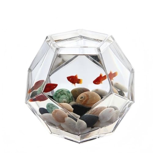 yQuirixzȃKXʑ̃ACfAfXNgbvېkpԕr߂Zbg (gybgʑNZbg)